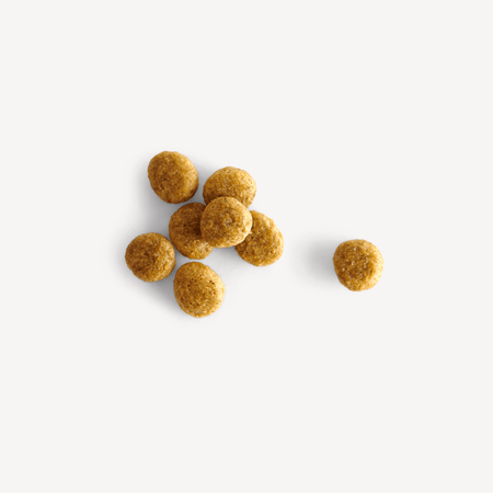 Small Breed Turkey Dry Food with Broccoli & Peas