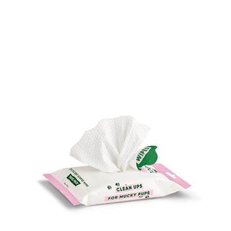 Scented Dog Wipes | Travel Pack