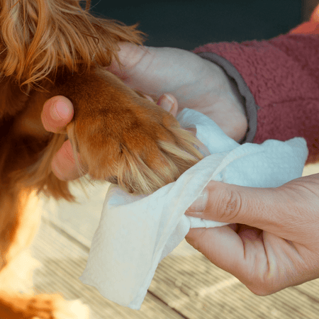 Unscented Dog Wipes | Travel Pack