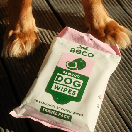 Scented Dog Wipes | Travel Pack
