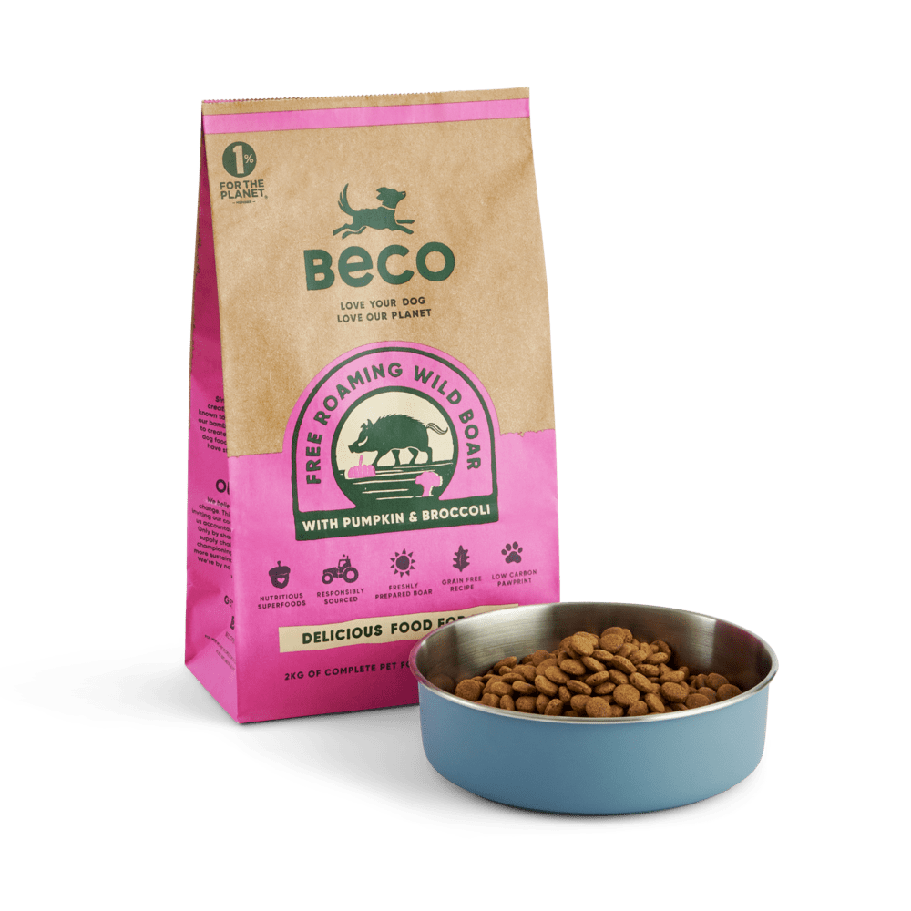 Picture of Wild Boar Dog Food | Grain Free Dry Dog Food | Beco Pets