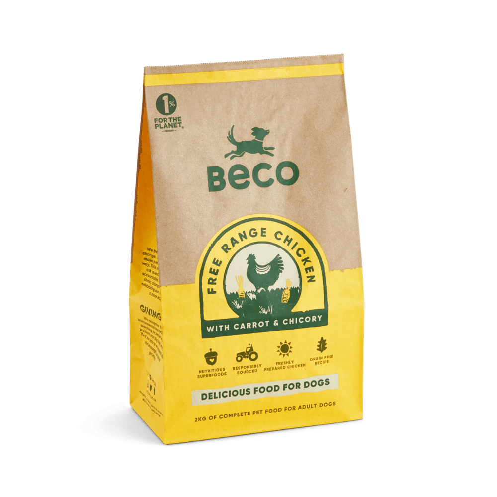 What Grains are Good for Dogs Beco