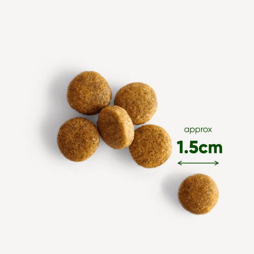 Dry dog food with best sale pumpkin