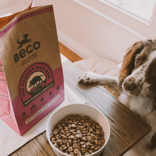 Boar top dog food