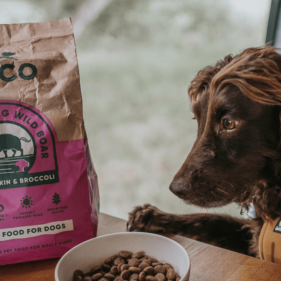 Wild Boar Dog Food | Great for Dogs with Dietary Allergies – Beco