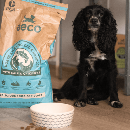 Haddock for on sale dogs