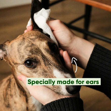 Dog Ear Cleaning Wipes