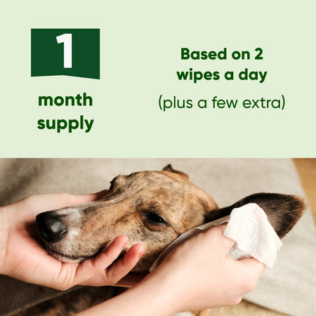 Dog Ear Cleaning Wipes