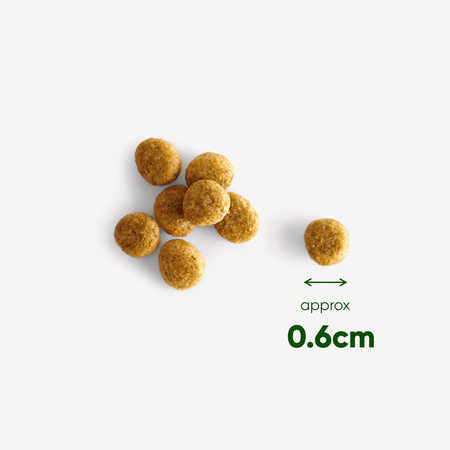 Free-Range Turkey Puppy Food with Pumpkin & Spinach