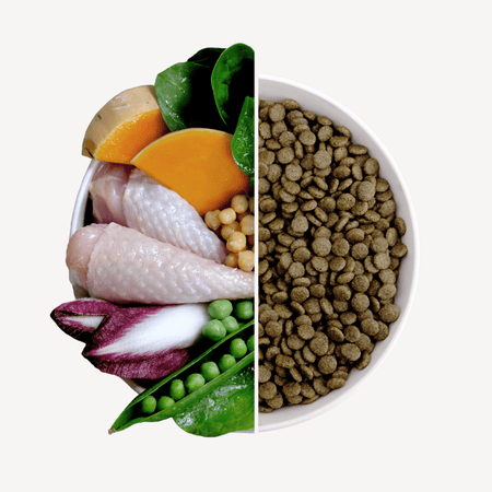 Free-Range Turkey Puppy Food with Pumpkin & Spinach