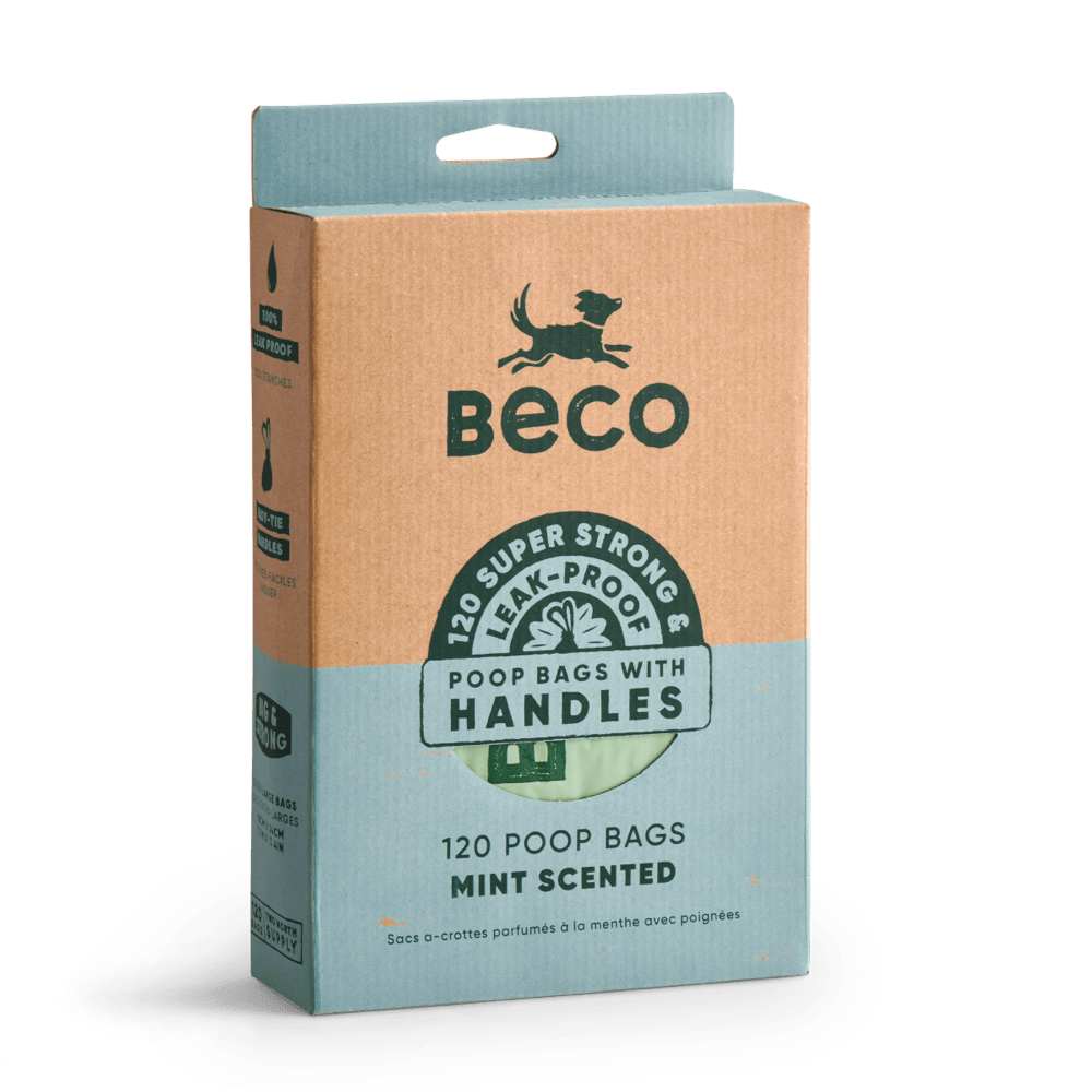 Compostable Dog Poop Bags 60 Pack Delivery to your door BECO Beco