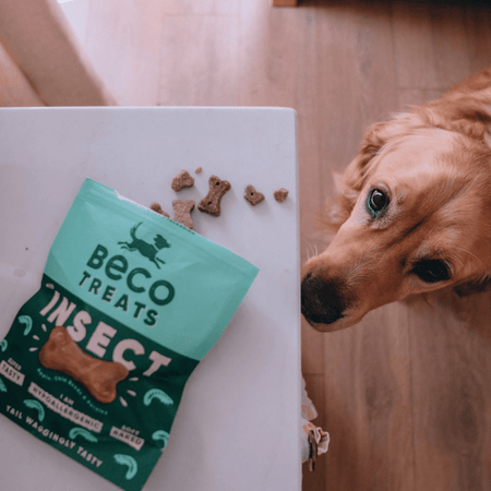 Insect Dog Treats with Apple & Chia Seeds