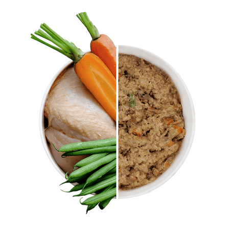 Free Range Chicken Wet Dog Food with Carrots & Green Beans