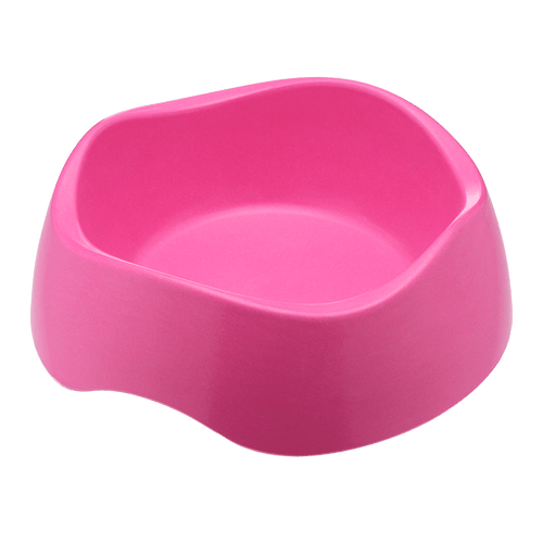 Food & Water Bowl