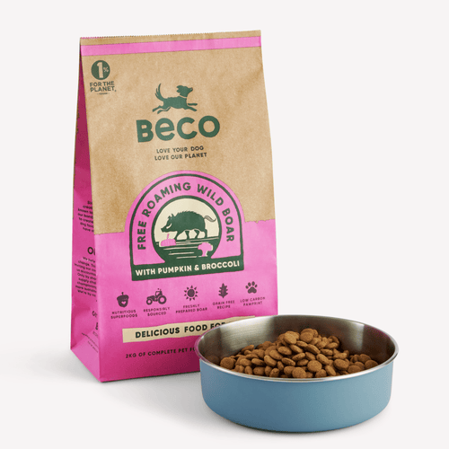 Sams grain free dog food on sale