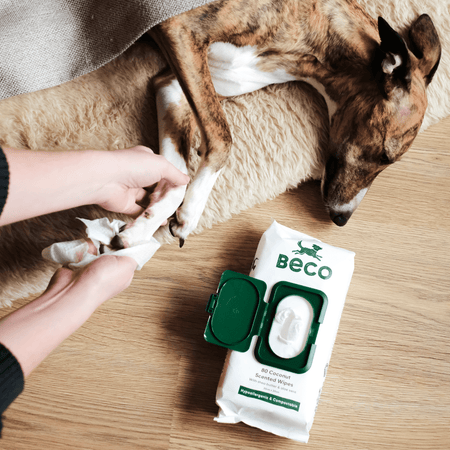 Scented Dog Wipes