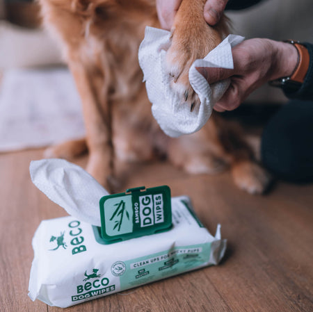Bamboo Dog Wipes Unscented BECO Love your dog love our planet Beco Pets