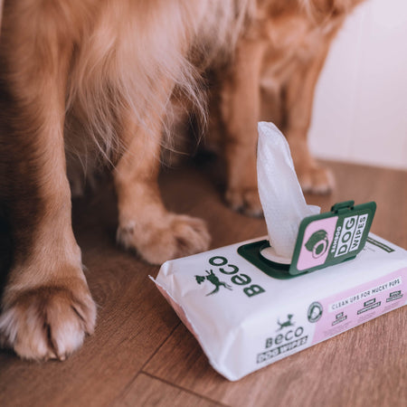 Scented Dog Wipes