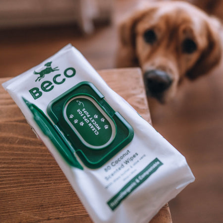Scented Dog Wipes